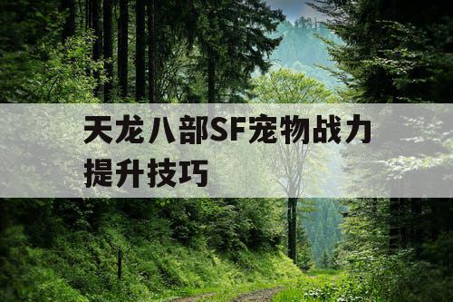 天龙八部SF宠物战力提升技巧