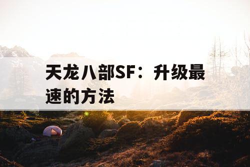 天龙八部SF：升级最速的方法