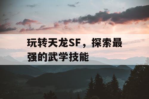 玩转天龙SF，探索最强的武学技能