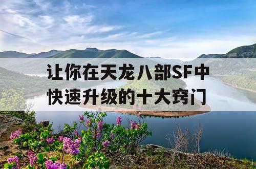 让你在天龙八部SF中快速升级的十大窍门