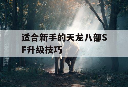 适合新手的天龙八部SF升级技巧 适合新手的天龙八部SF升级技巧