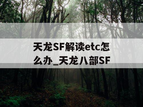 天龙SF解读etc怎么办_天龙八部SF