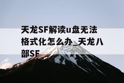 天龙SF解读u盘无法格式化怎么办_天龙八部SF