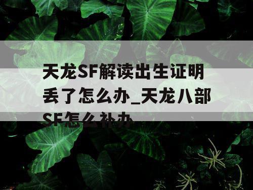 天龙SF解读出生证明丢了怎么办_天龙八部SF怎么补办 天龙SF解读出生证明丢了怎么办_天龙八部SF怎么补办