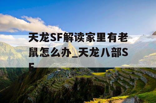 天龙SF解读家里有老鼠怎么办_天龙八部SF