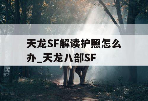 天龙SF解读护照怎么办_天龙八部SF
