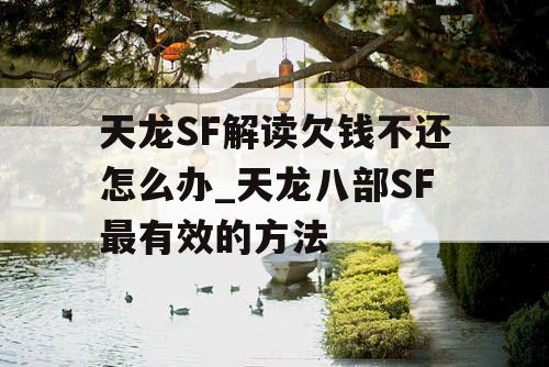 天龙SF解读欠钱不还怎么办_天龙八部SF最有效的方法