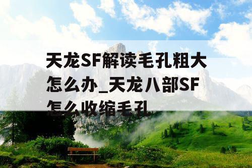 天龙SF解读毛孔粗大怎么办_天龙八部SF怎么收缩毛孔