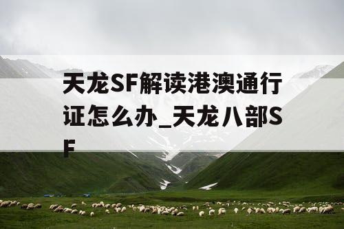 天龙SF解读港澳通行证怎么办_天龙八部SF