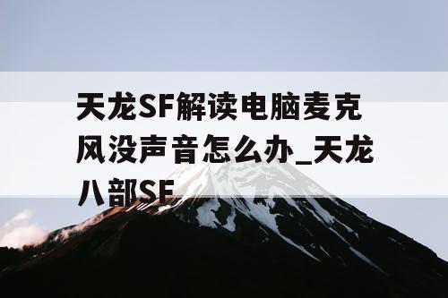 天龙SF解读电脑麦克风没声音怎么办_天龙八部SF 天龙SF解读电脑麦克风没声音怎么办_天龙八部SF