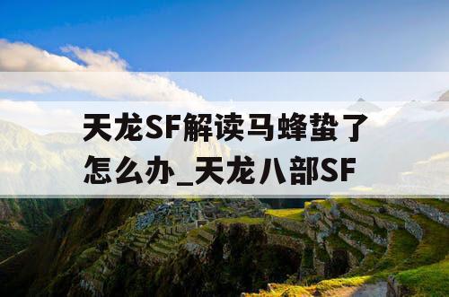 天龙SF解读马蜂蛰了怎么办_天龙八部SF 天龙SF解读马蜂蛰了怎么办_天龙八部SF