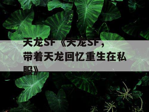 天龙SF《天龙SF，带着天龙回忆重生在私服》