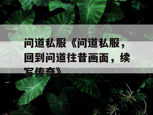 问道私服《问道私服，回到问道往昔画面，续写传奇》