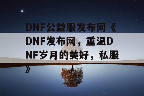 DNF公益服发布网《DNF发布网,重温DNF岁月的美好,私服》 DNF公益服发布网《DNF发布网,重温DNF岁月的美好,私服》