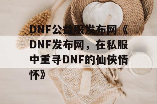 DNF公益服发布网《DNF发布网，在私服中重寻DNF的仙侠情怀》