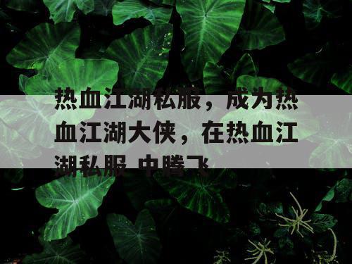 热血江湖私服，成为热血江湖大侠，在热血江湖私服 中腾飞