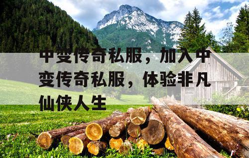 中变传奇私服，加入中变传奇私服，体验非凡仙侠人生