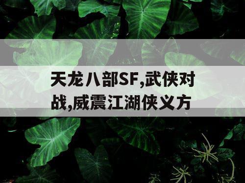 天龙八部SF,武侠对战,威震江湖侠义方