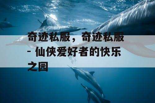 奇迹私服，奇迹私服 - 仙侠爱好者的快乐之园