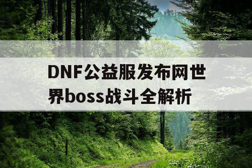 DNF公益服发布网世界boss战斗全解析