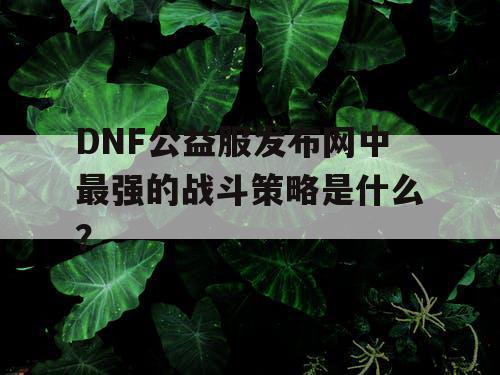 DNF公益服发布网中最强的战斗策略是什么？