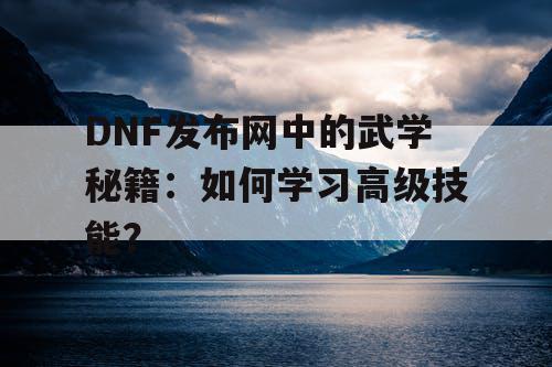 DNF发布网中的武学秘籍：如何学习高级技能？