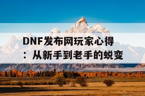 DNF发布网玩家心得：从新手到老手的蜕变