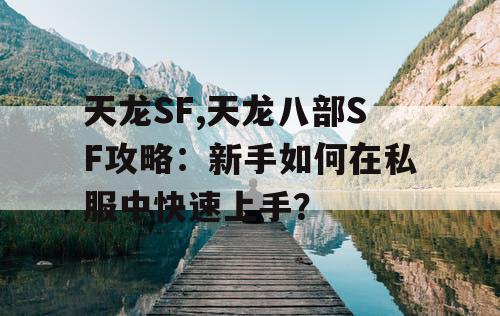 天龙SF,天龙八部SF攻略：新手如何在私服中快速上手？