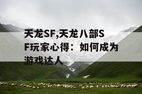 天龙SF,天龙八部SF玩家心得：如何成为游戏达人