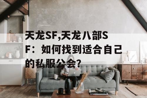 天龙SF,天龙八部SF：如何找到适合自己的私服公会？