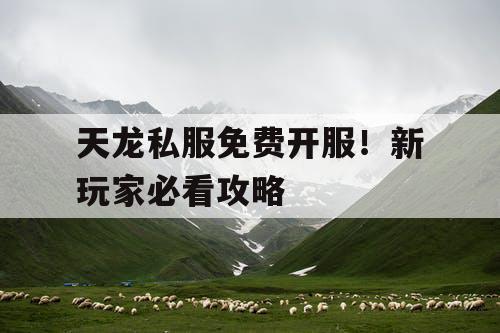 天龙私服免费开服！新玩家必看攻略