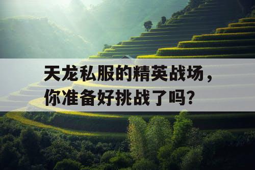 天龙私服的精英战场，你准备好挑战了吗？