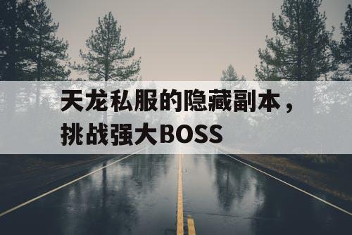 天龙私服的隐藏副本，挑战强大BOSS