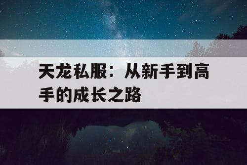 天龙私服：从新手到高手的成长之路