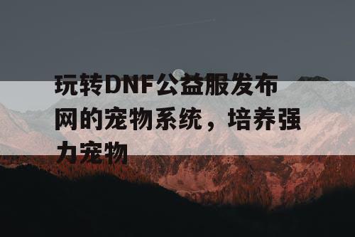 玩转DNF公益服发布网的宠物系统，培养强力宠物