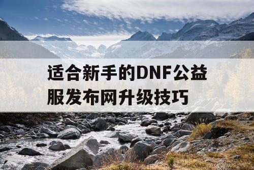 适合新手的DNF公益服发布网升级技巧