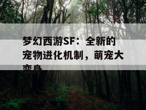 梦幻西游SF：全新的宠物进化机制，萌宠大变身