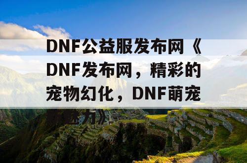 DNF公益服发布网《DNF发布网，精彩的宠物幻化，DNF萌宠新魅力》