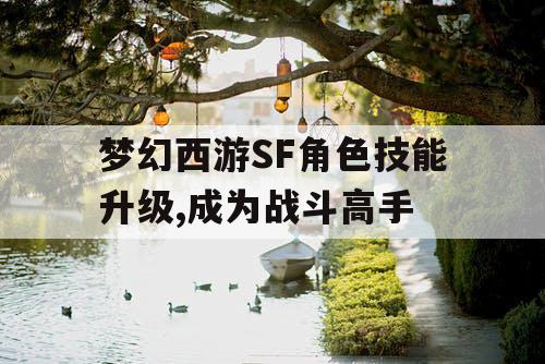 梦幻西游SF角色技能升级,成为战斗高手