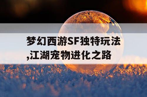 梦幻西游SF独特玩法,江湖宠物进化之路