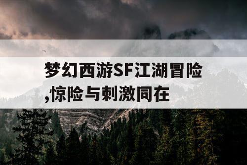梦幻西游SF江湖冒险,惊险与刺激同在 梦幻西游SF江湖冒险,惊险与刺激同在
