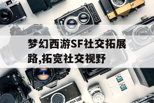 梦幻西游SF社交拓展路,拓宽社交视野