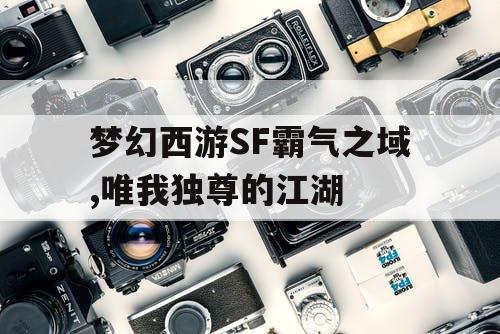 梦幻西游SF霸气之域,唯我独尊的江湖 梦幻西游SF霸气之域,唯我独尊的江湖
