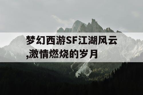 梦幻西游SF江湖风云,激情燃烧的岁月