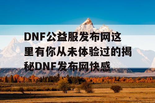 DNF公益服发布网这里有你从未体验过的揭秘DNF发布网快感