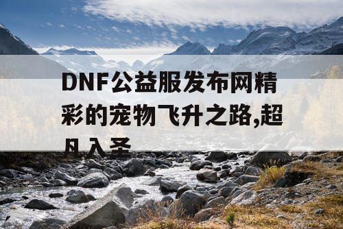 DNF公益服发布网精彩的宠物飞升之路,超凡入圣
