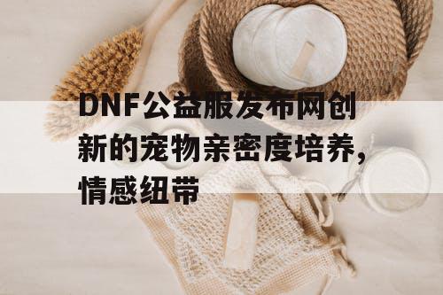 DNF公益服发布网创新的宠物亲密度培养,情感纽带