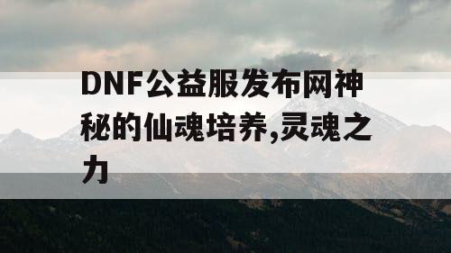 DNF公益服发布网神秘的仙魂培养,灵魂之力