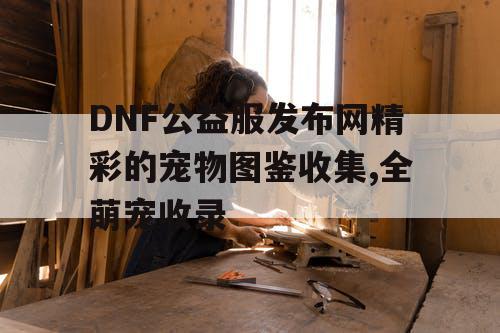 DNF公益服发布网精彩的宠物图鉴收集,全萌宠收录
