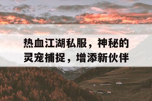 热血江湖私服，神秘的灵宠捕捉，增添新伙伴